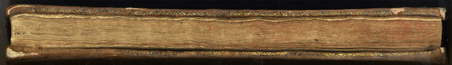 Louis Trincant, procureur du roi aux sièges royaux de Loudun. Histoire généalogique de la maison du Bellay