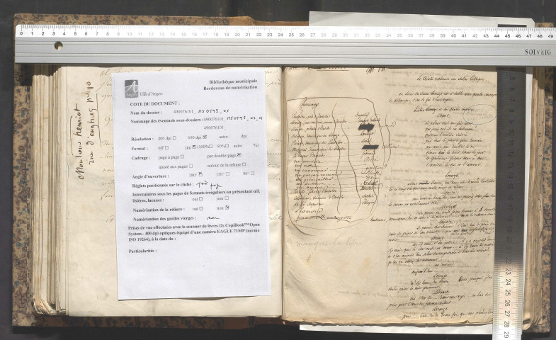 Le mirliton enchanté