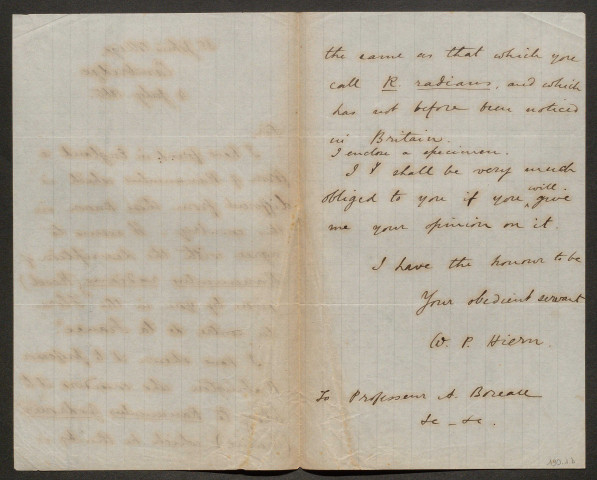 Hiern, William Philip