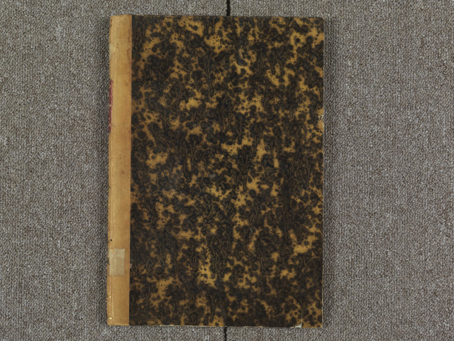 "La racine et extraxion de la noble maison de Blois, le tout recueilli et mis en perpétuel mémoire, extrait du livre de Jacque le Boucq, demeurant à Vallenciennes, l'an 1600"