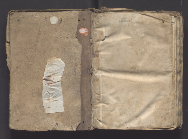 « Incipit ars predicandi secundum magistrum Alanum de Insula. Vidit Jacob... Scala ista est, viri catholici... »