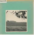 Anjou : Vignoble angevin