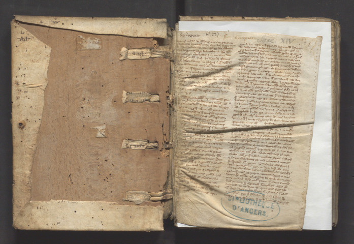 Recueil de thèmes de sermons et de notes pour les prédicateurs ; beaucoup de thèmes pour les fêtes de la Vierge