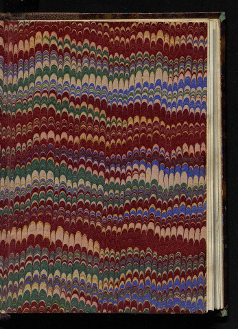 Carnet de notes [Bruel 31]