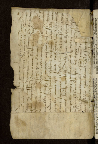 Pandora Jani Oliverii, Andium hierophantae. 1542