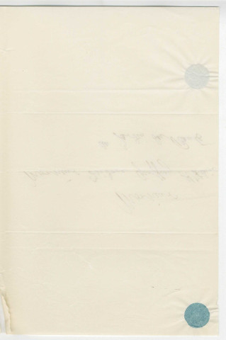 Correspondance d'Agassiz fils [à Isidore Geoffroy-Saint-Hilaire]