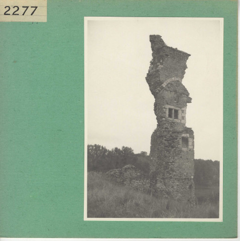 Rochefort-sur-Loire : Ruines de Saint Offange