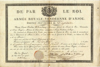 Brevet provisoire de capitaine [nommant] M. Réveillard, capitaine d'une compagnie de Saint-Florent[-le-Vieil]