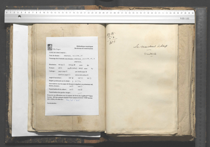 Le marchand de boeufs