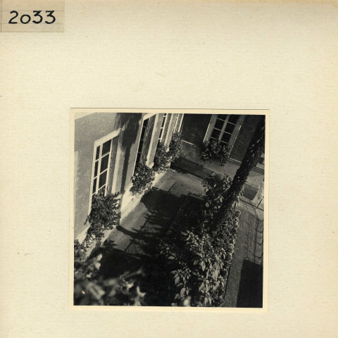 Angers : mairie d'Angers (cour, jardin)