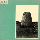 La Renaudière : Menhir de Monsieur de la Bretaudière