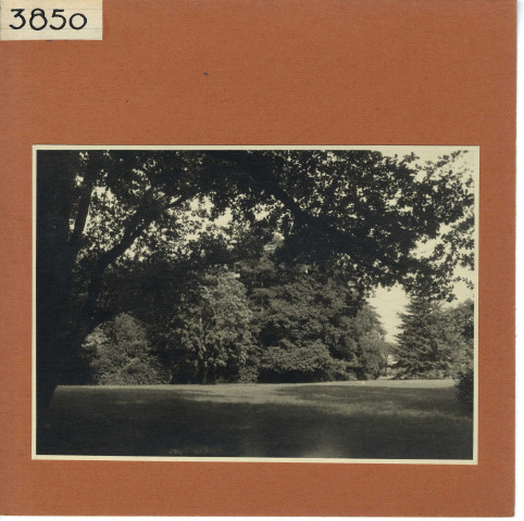 Savennières : Château La Bizolière