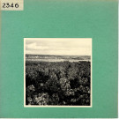 Le Thoureil : Vignoble, côteaux de la Loire (près de l'Abbaye de Saint Maur)