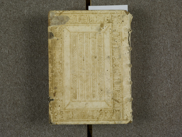 Cronica fratris Martini ordinis predicatorum