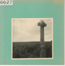 Saint-Aubin-de-Luigné : Vignoble angevin