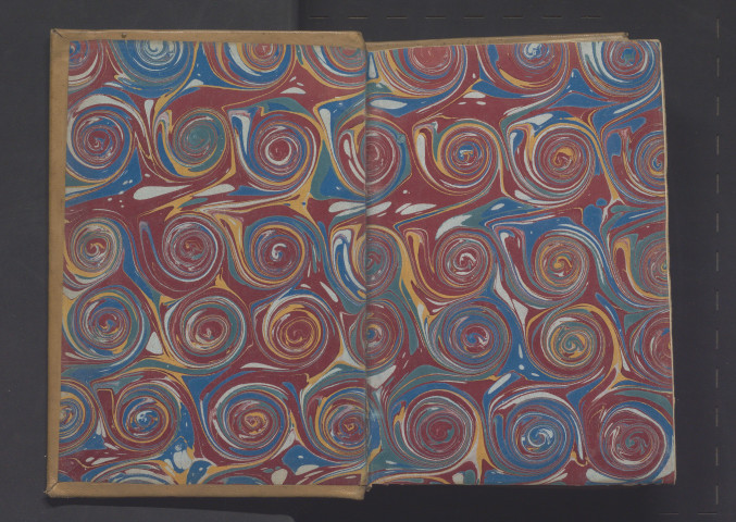 « Incipit Summa collectionum, a Johanne Galensi compilata. Cum collectionis hujus que potest dici Summa collectionum... »