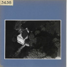 Luché-Pringé : Moulin de Merve, vue aérienne