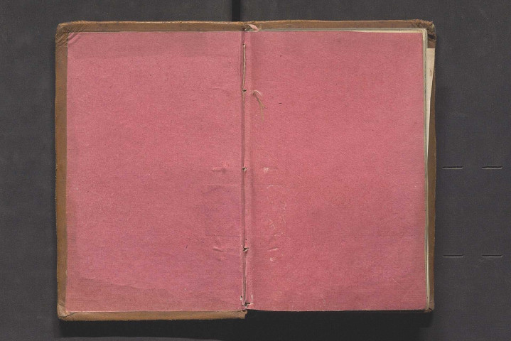 Flore angevine, d'après les méthodes de Lamarck et de Candolle