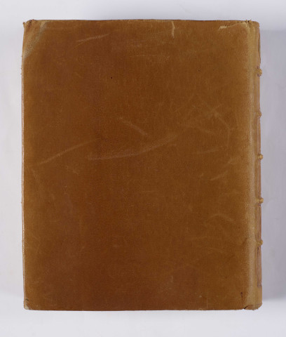 Thèmes de sermons. « Mulier gratiosa inveniet gloriam. Proverb. XI. Mulier ista fidelis est anima, que nunc... »