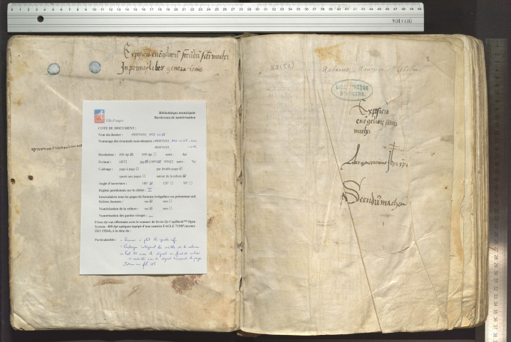 Somnodus genuit... Arbre généalogique des rois de France de Clovis à Philippe Ier