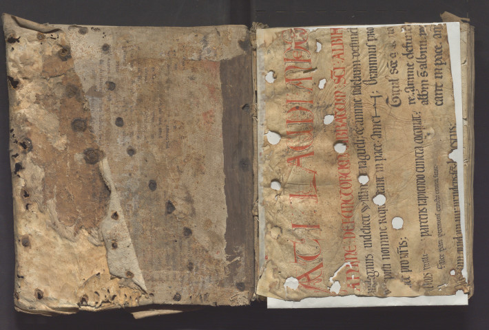 De Genesi ad litteram libri XII. « Omnis creatura bipertita est... »