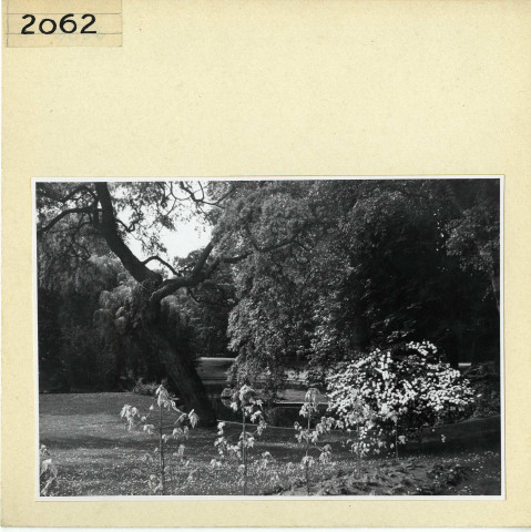 Angers : Jardin des Plantes