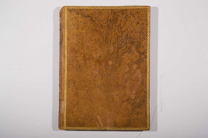 Geste des Bretons en Italie, ou Roman de monsieur Sylvestre, ou Histoire en vers des expéditions des Bretons en Italie, au temps du pape Grégoire XI, suivie de la Remembrance de l'élection pontificale de Clément VII à Avignon le 1er novembre 1378, composées par Guillaume de la Penne, suivies de la Remembrance de Du Guesclin (par Guillaume Corr ?)