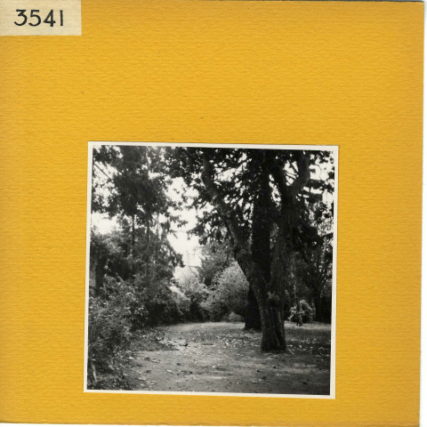 Angers : Square de Contades