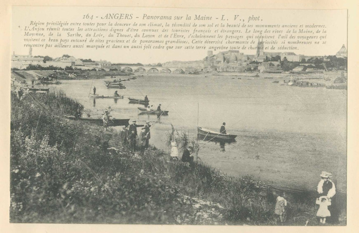 164. Angers. Panorama sur la Maine
