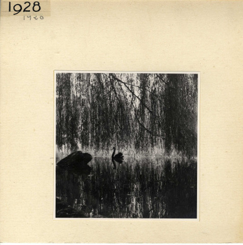 Angers : Jardin des Plantes