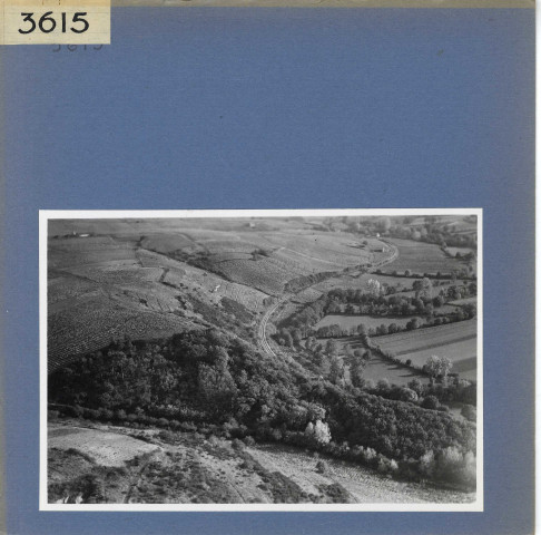 Erigné : Vignoble, vue aérienne