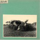 Anjou : Dolmen de la Pierre Levée