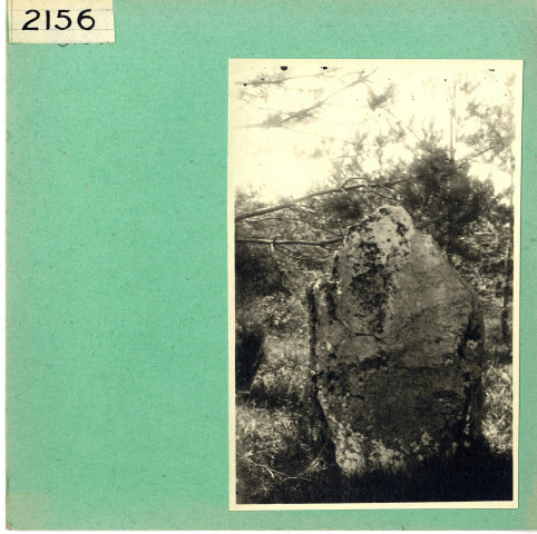 La Lande-Chasles : Menhir de la Pierre frite