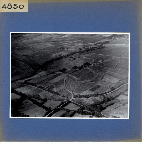 Rochefort-sur-Loire : Chaume (vue aérienne)