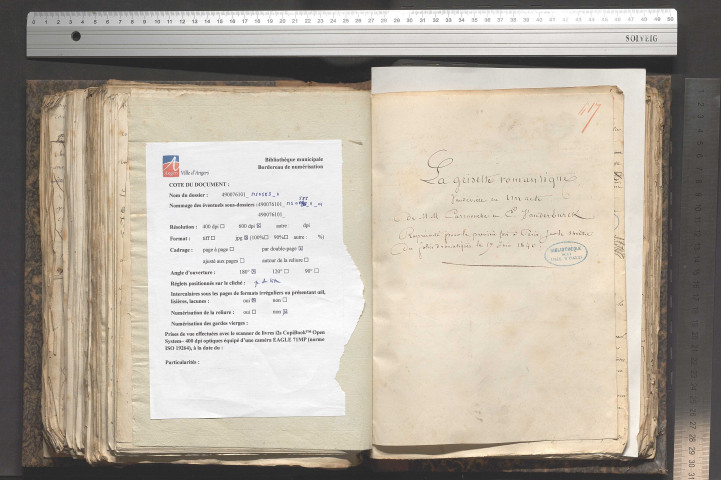 La grisette romantique