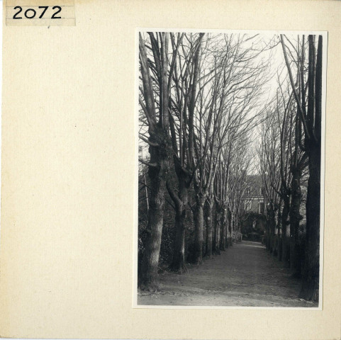 Angers : Esvière (Vieil Angers)