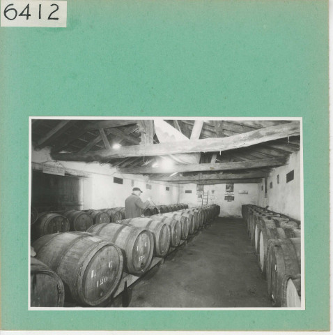 Saint-Aubin-de-Luigné : Cave dans le vignoble angevin, "La Biquerie"