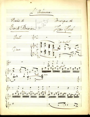 Symphonies florales. Anémone. Chèvrefeuille.