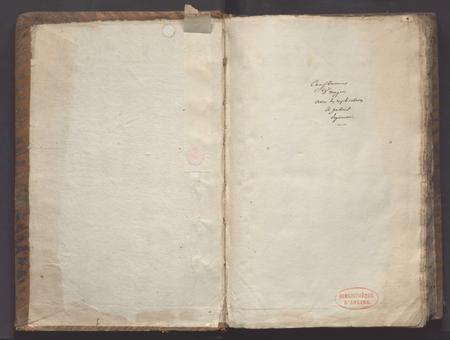 « Consuetudines Andegavenses, ex originali manuscripto restitutae, notis viri clarissimi Caroli Molinaei et aliorum Galliae jurisconsultorum, praecipue Andinorum, sententiis illustratae, cura et studio nobilis viri magistri Gabrielis du Pineau, andini, regii apud Andes in senescalia et praesidiali senatu consiliarii, ejusque annotationibus explicatae »