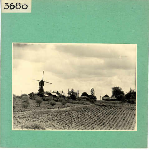 Brissac : Moulin et vignobles