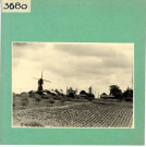 Brissac : Moulin et vignobles