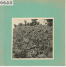 Anjou : Vignoble angevin