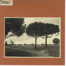 Savennières : Château La Bizolière