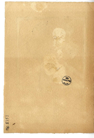 Elégante à voilette portée en loup