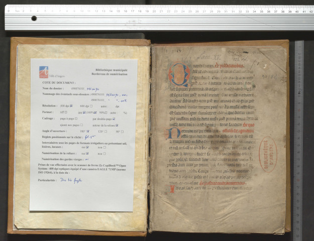 Cérémonial et rubricaire d'une congrégation régulière non désignée. La fin manque