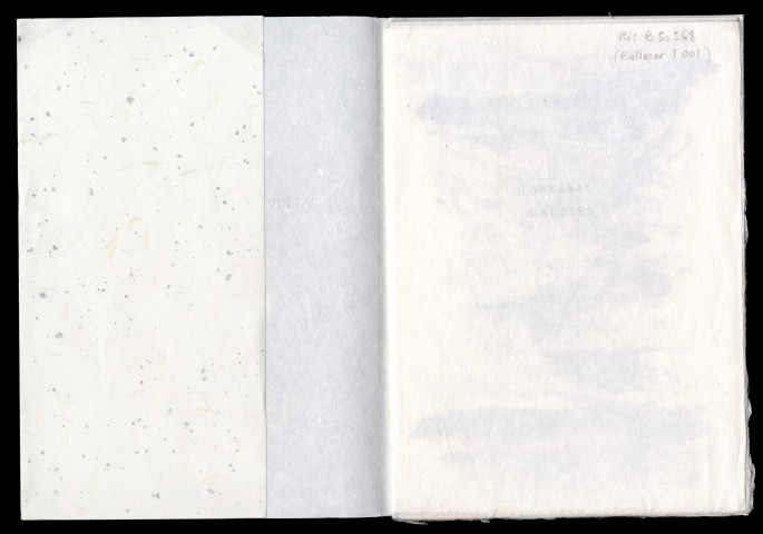 Caprices d'un invisible élan