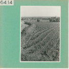 Beaulieu-sur-Layon : Vignoble angevin