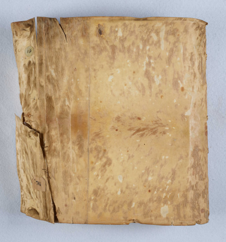 « Inventaires des lectres, tiltres et enseignemens touchant et concernant la fondation, dotation et augmentation de l'abbaye de Notre-Dame du Ronceray, alias de la Charité d'Angers »