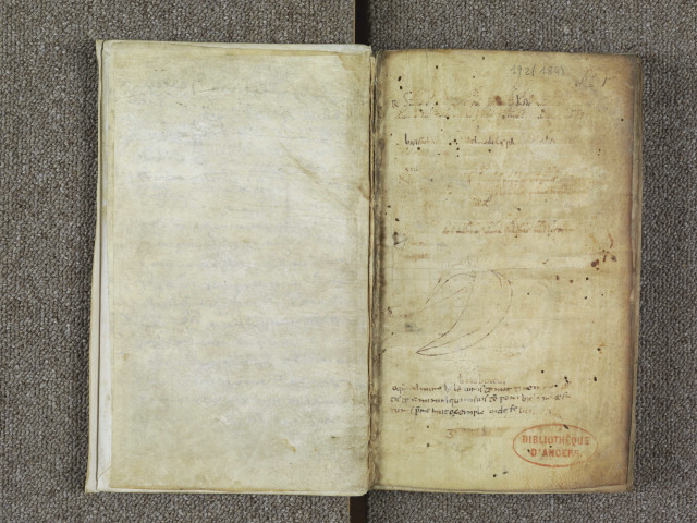 « In nomine sanctae Trinitatis. Incipiunt capitula libri regule pastoralis Gregorii, pape urbis Romae »