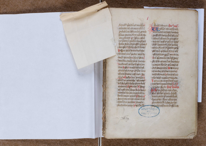 Fragment de bréviaire (XVe siècle)